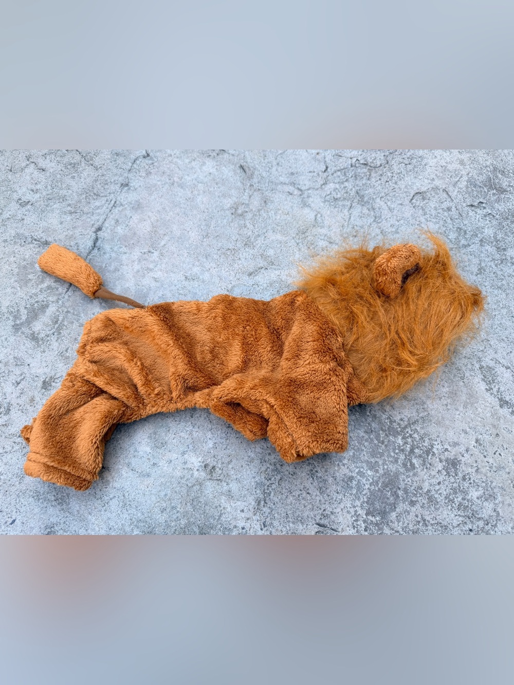 Lion Dog / Cat Halloween Costume – Size Medium – Small Pet